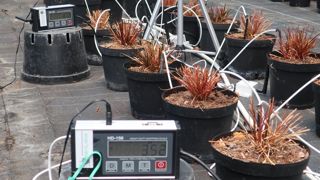 Pour améliorer l’efficience de l’irrigation et la qualité agronomique des végétaux, tout en limitant le gaspillage de l’eau et le lessivage des éléments nutritifs, l’Astredhor mène des essais sur le pilotage de l’irrigation par des sondes ou capteurs connectés. (c)Sarah Costes Pour améliorer l’efficience de l’irrigation et la qualité agronomique des végétaux, tout en limitant le gaspillage de l’eau et le lessivage des éléments nutritifs, l’Astredhor mène des essais sur le pilotage de l’irrigation par des sondes ou capteurs connectés. (c)Sarah Costes